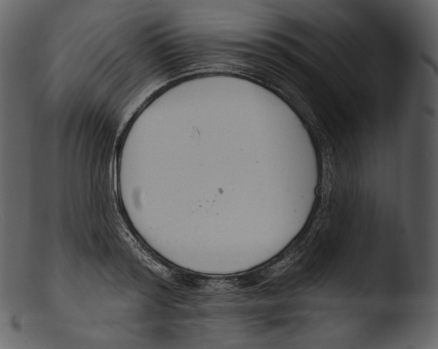 X0000103280796200809261224