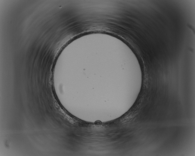 X0000103280799200809261224