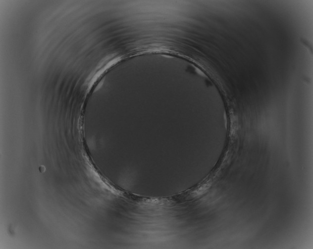 X0000103280806200809261224