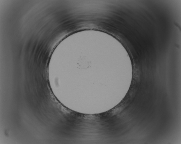 X0000103280807200809261224