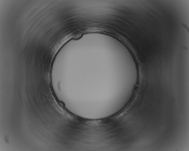 X0000103280810200809261224