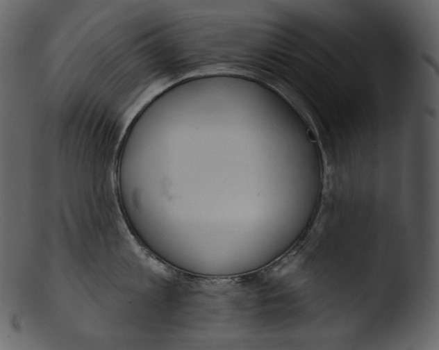 X0000103280813200809261224