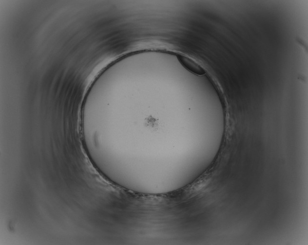 X0000103280815200809261224