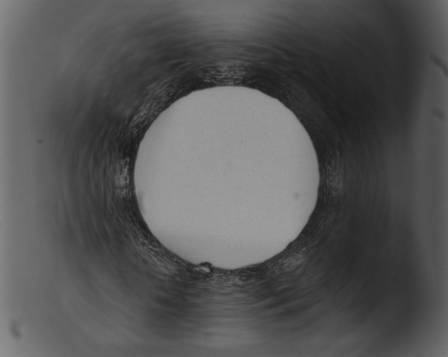 X0000103280818200809261223