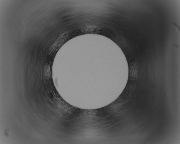 X0000103280820200809261223