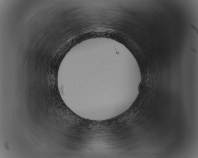 X0000103280821200809261223