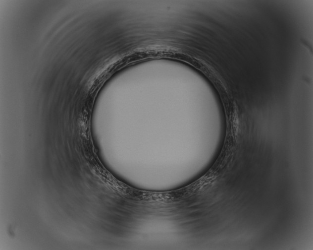 X0000103280823200809261223