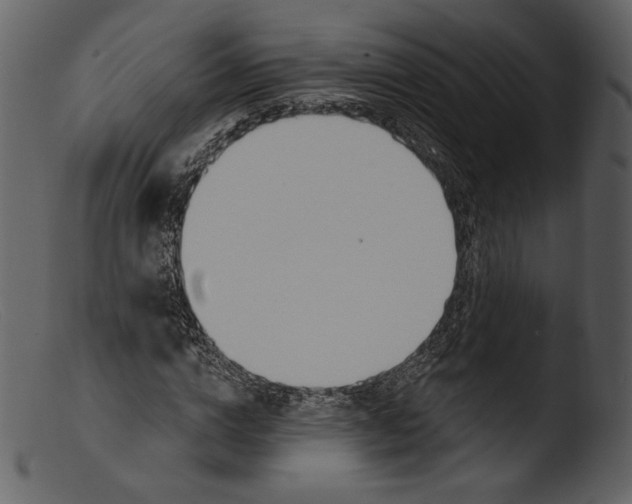 X0000103280824200809261223