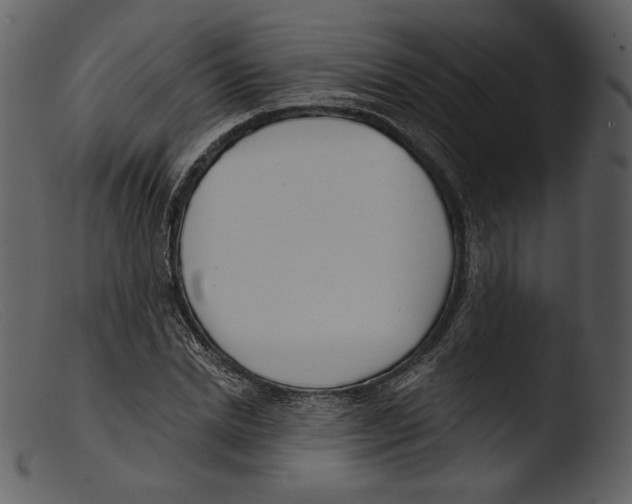 X0000103280830200809261224