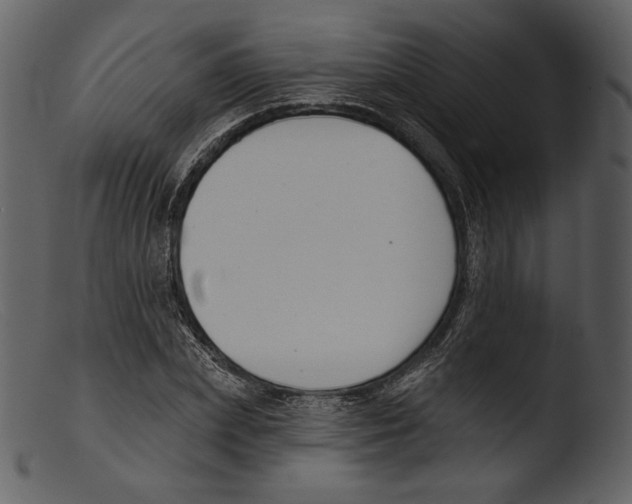 X0000103280831200809261224