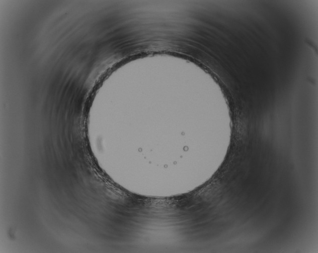 X0000103280832200809261224