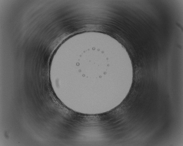 X0000103280836200809261224