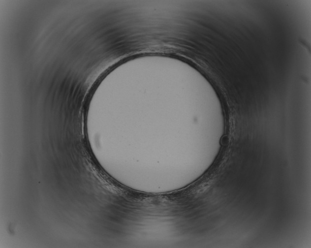 X0000103280838200809261224