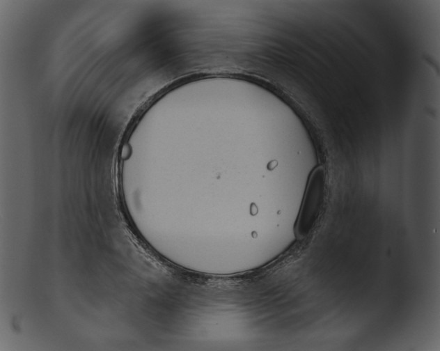 X0000103280840200809261224