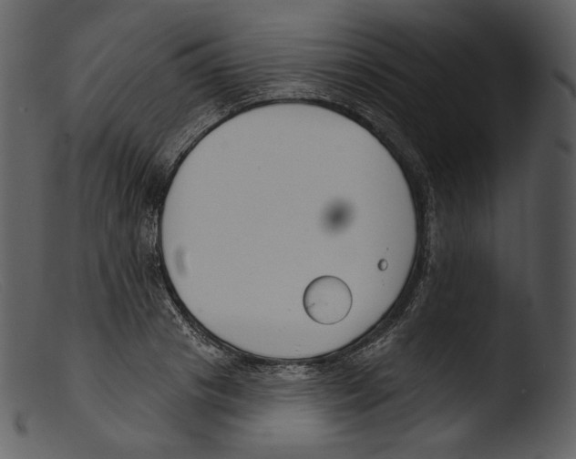 X0000103280841200809261224