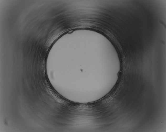 X0000103280842200809261224