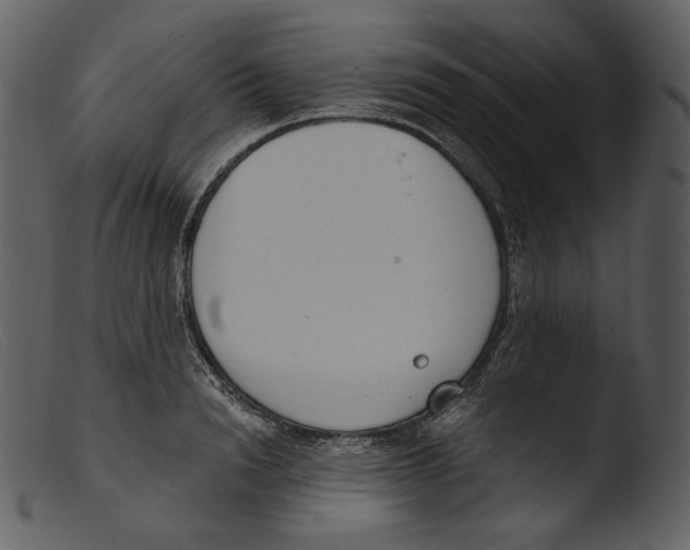 X0000103280846200809261224