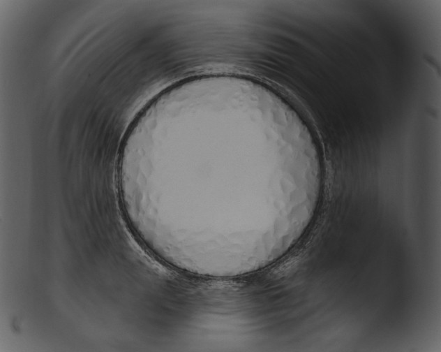 X0000103280847200809261224