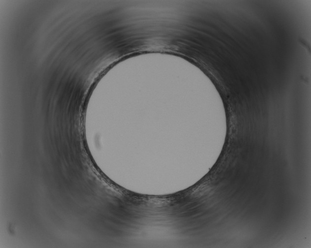 X0000103280848200809261224