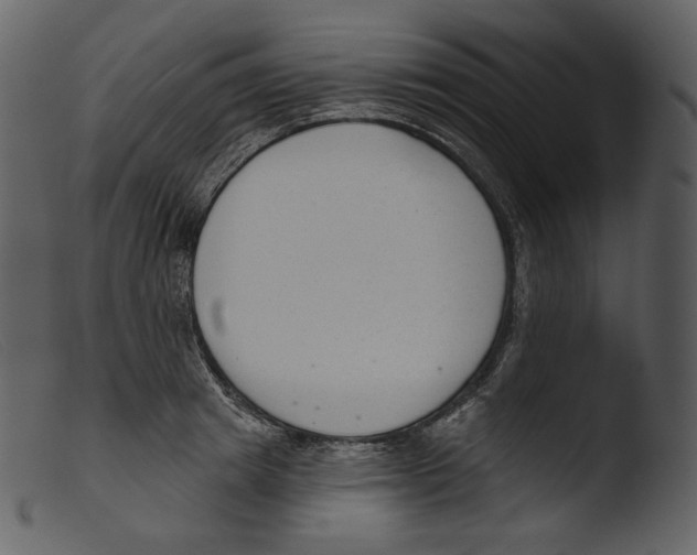 X0000103280849200809261224