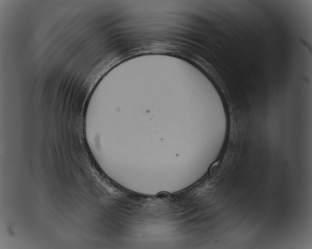 X0000103280850200809261224