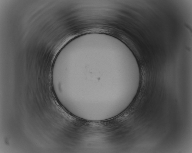 X0000103280852200809261224