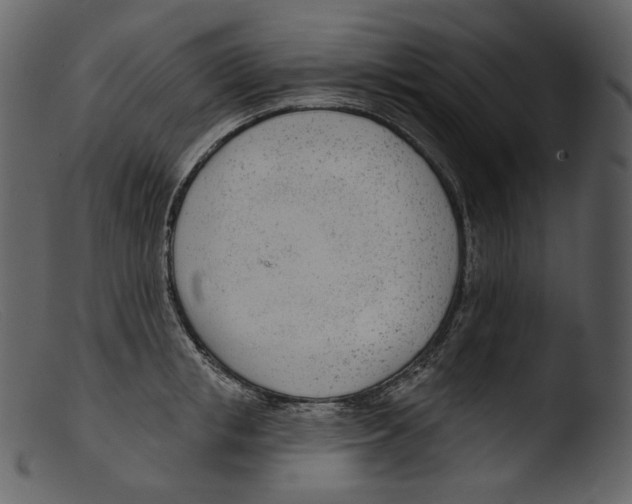 X0000103280853200809261224