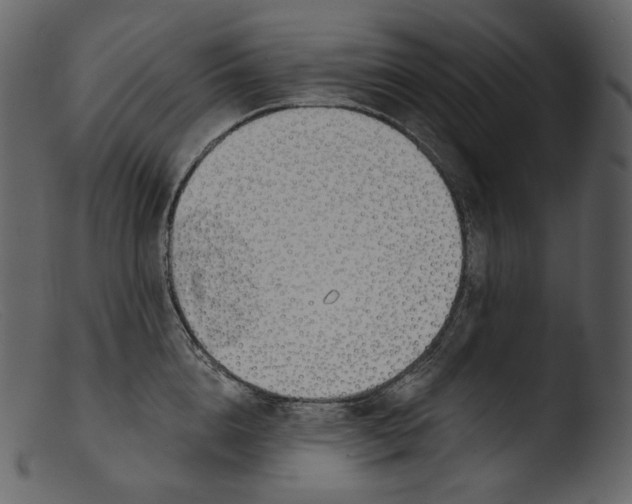 X0000103280856200809261224