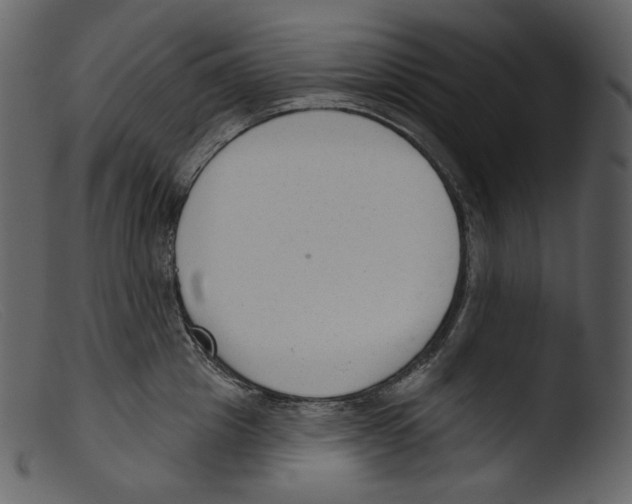 X0000103280857200809261224