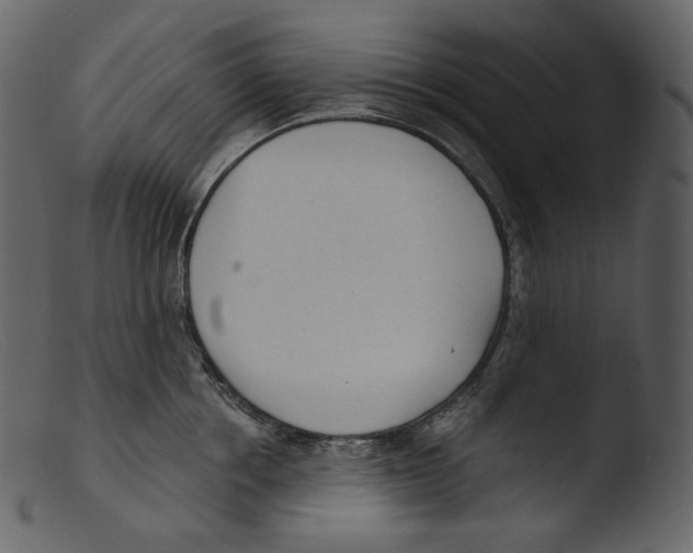 X0000103280858200809261224