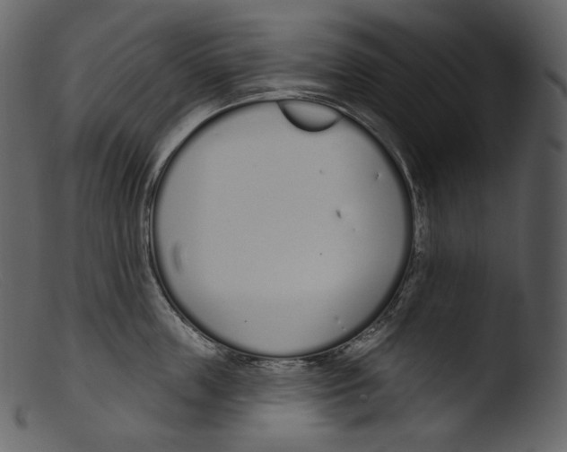 X0000103280859200809261224