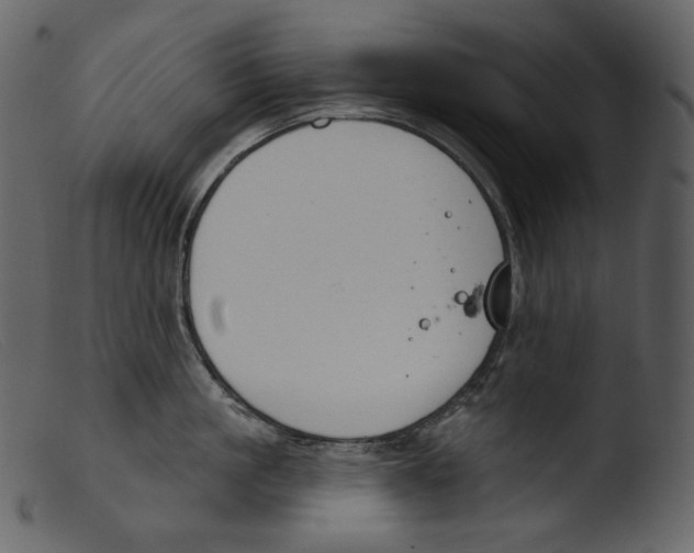 X0000103280861200809261224