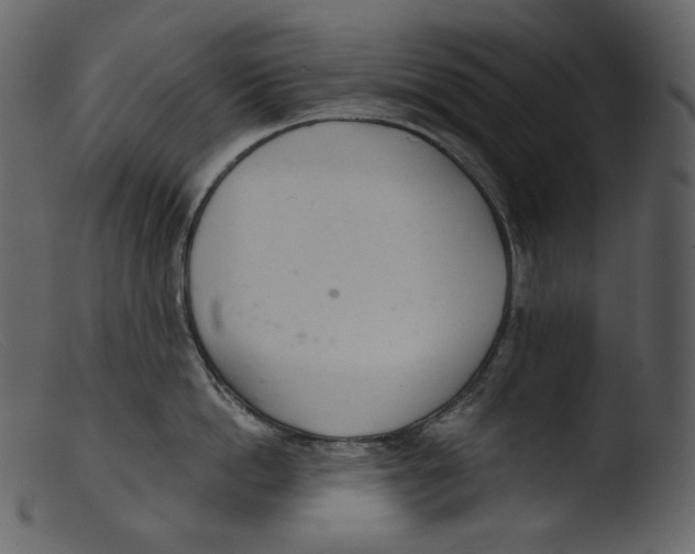 X0000103280862200809261224