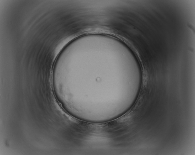 X0000103280863200809261224