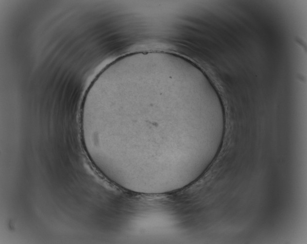 X0000103280864200809261224