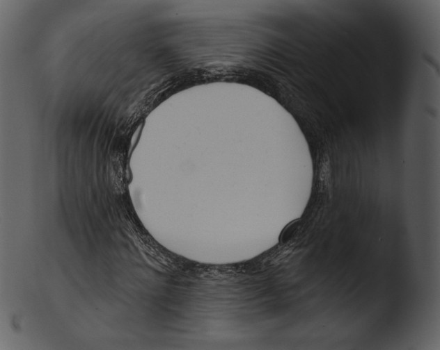 X0000103280868200809261223