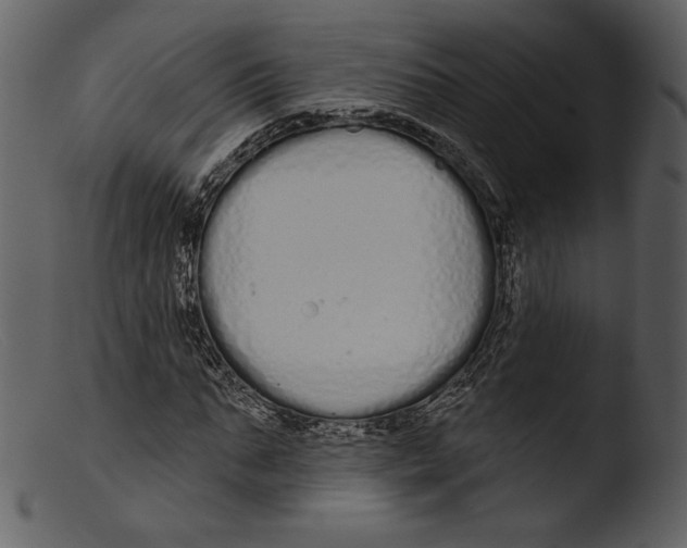 X0000103280871200809261223