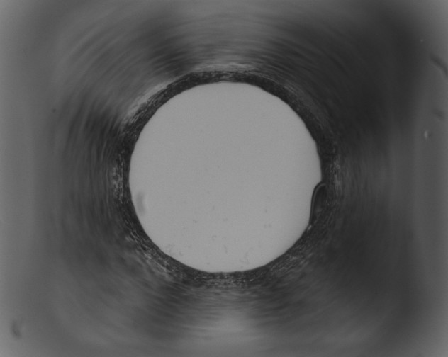 X0000103280872200809261223