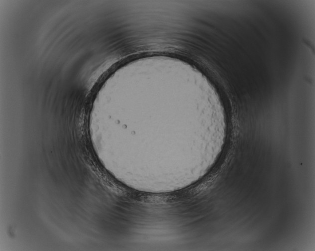 X0000103280875200809261223