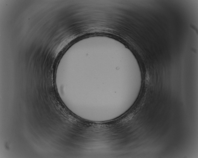 X0000103280877200809261223