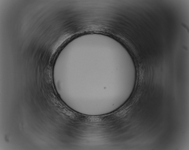 X0000103280878200809261223