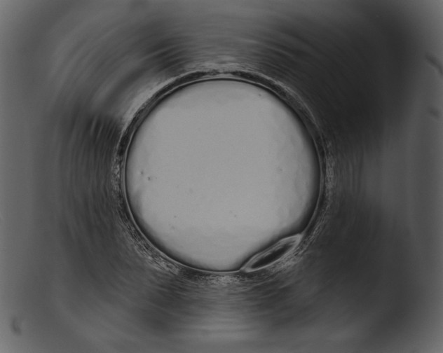 X0000103280879200809261223