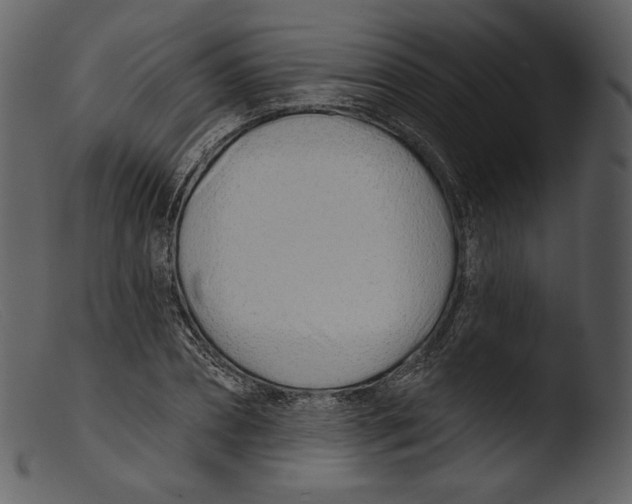 X0000103280882200809261223