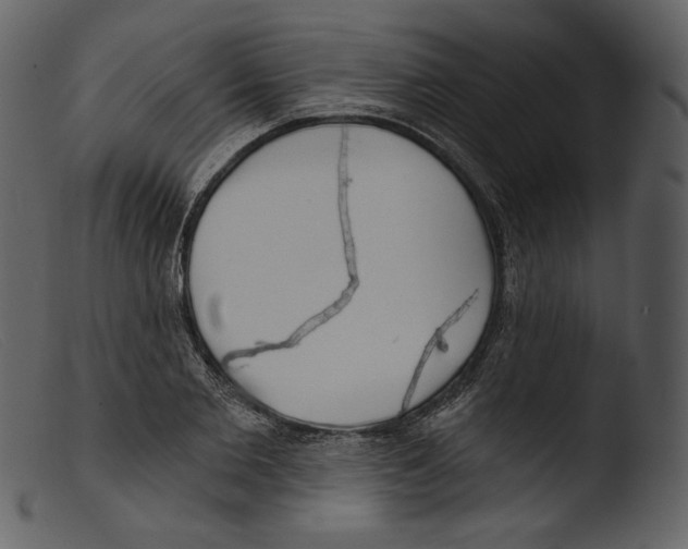 X0000103280885200809261223