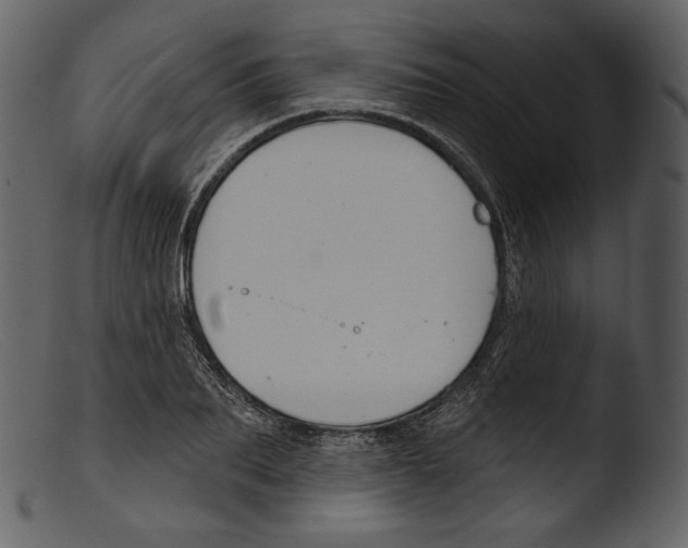 X0000103280887200809261223