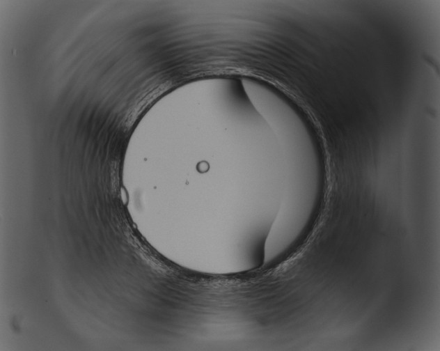 X0000103280889200809261223