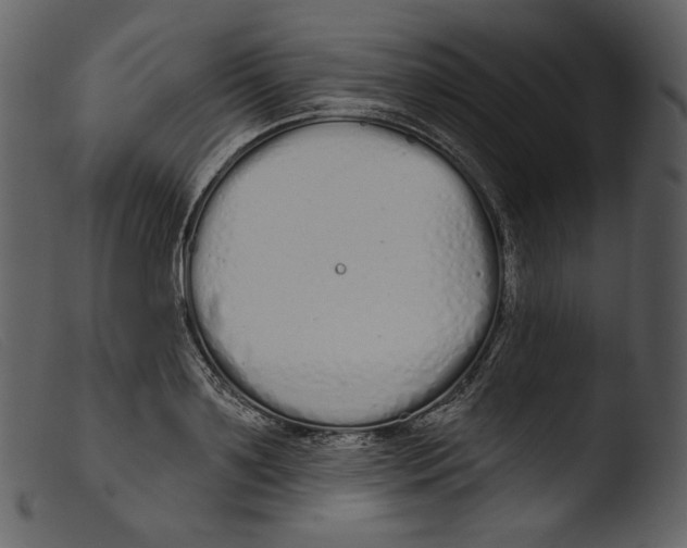 X0000103280891200809261223