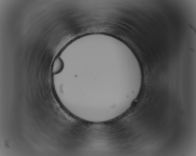 X0000103280894200809261223