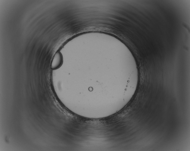 X0000103280896200809261223