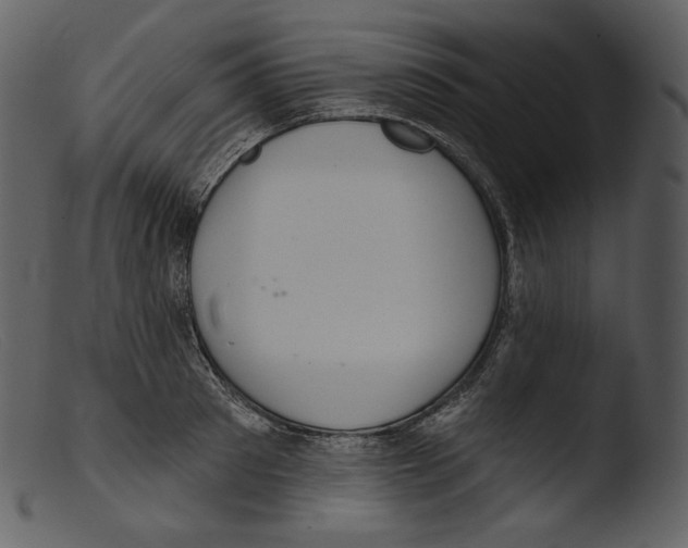 X0000103280897200809261223